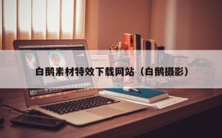 库尔勒白鹅素材特效下载网站（白鹅摄影）